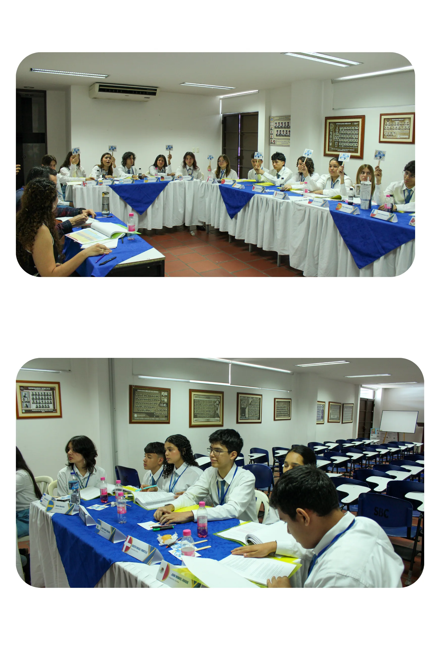 diseño sin título (14)